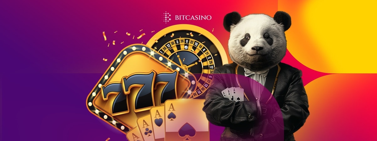 Top baccarat high roller strategies to elevate your gameplay